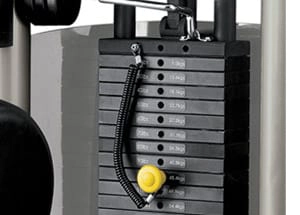 Aura Lateral Raise-Integrated Increment Weights